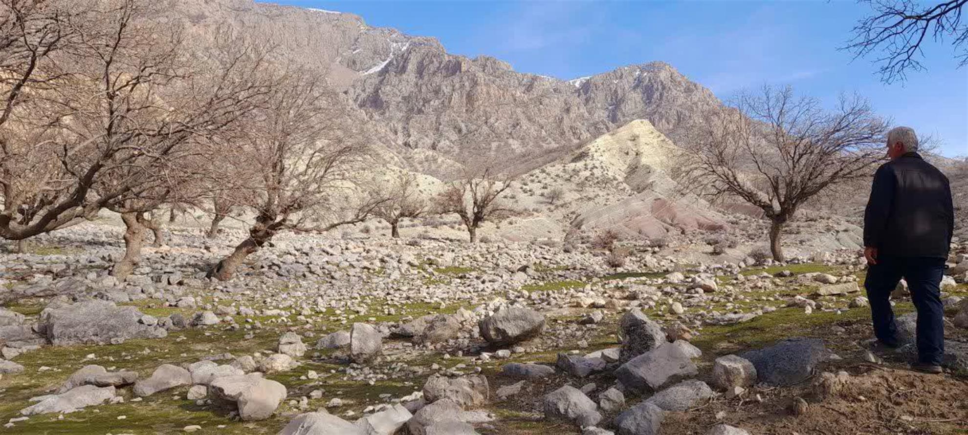 تایید نهایی مدیریت قطعه شاهد در جنگل کوه شور ایذه