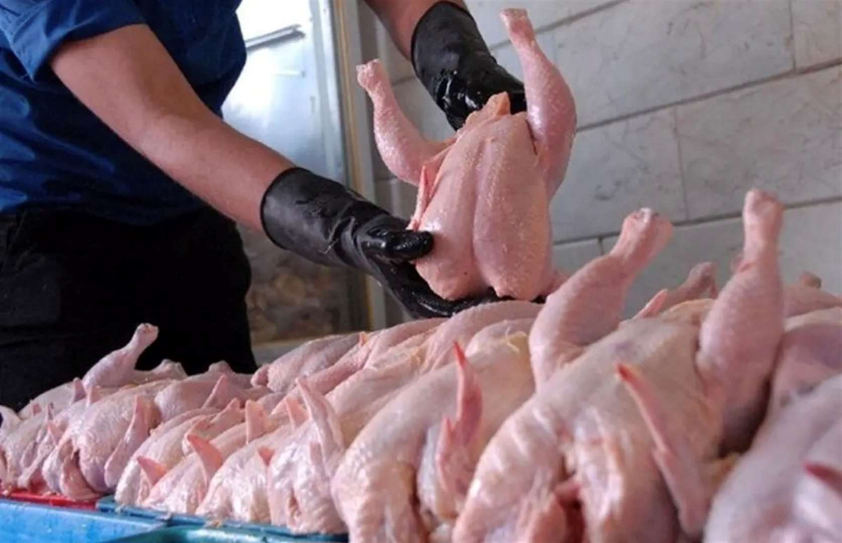 معدوم‌سازی 25 کیلوگرم آلایش تاریخ‌مصرف‌گذشته مرغ در شهرستان دزپارت