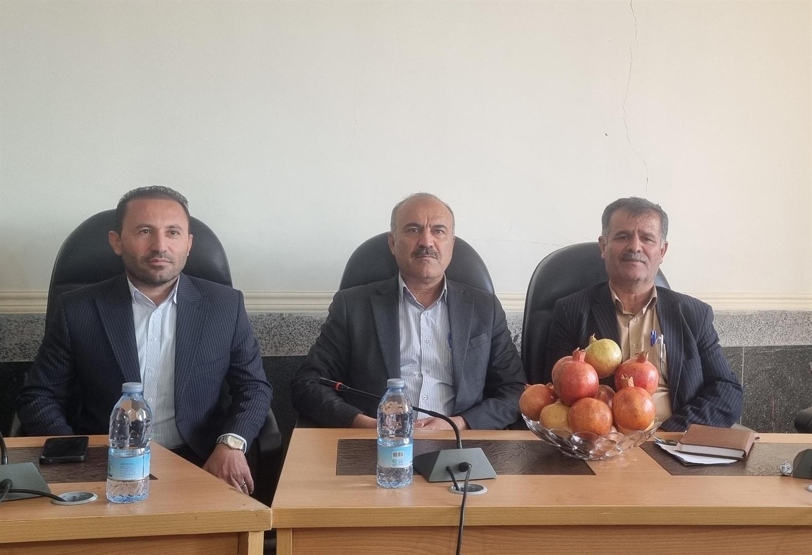 برگزاری سومین جشنواره انار در شهرستان دزپارت