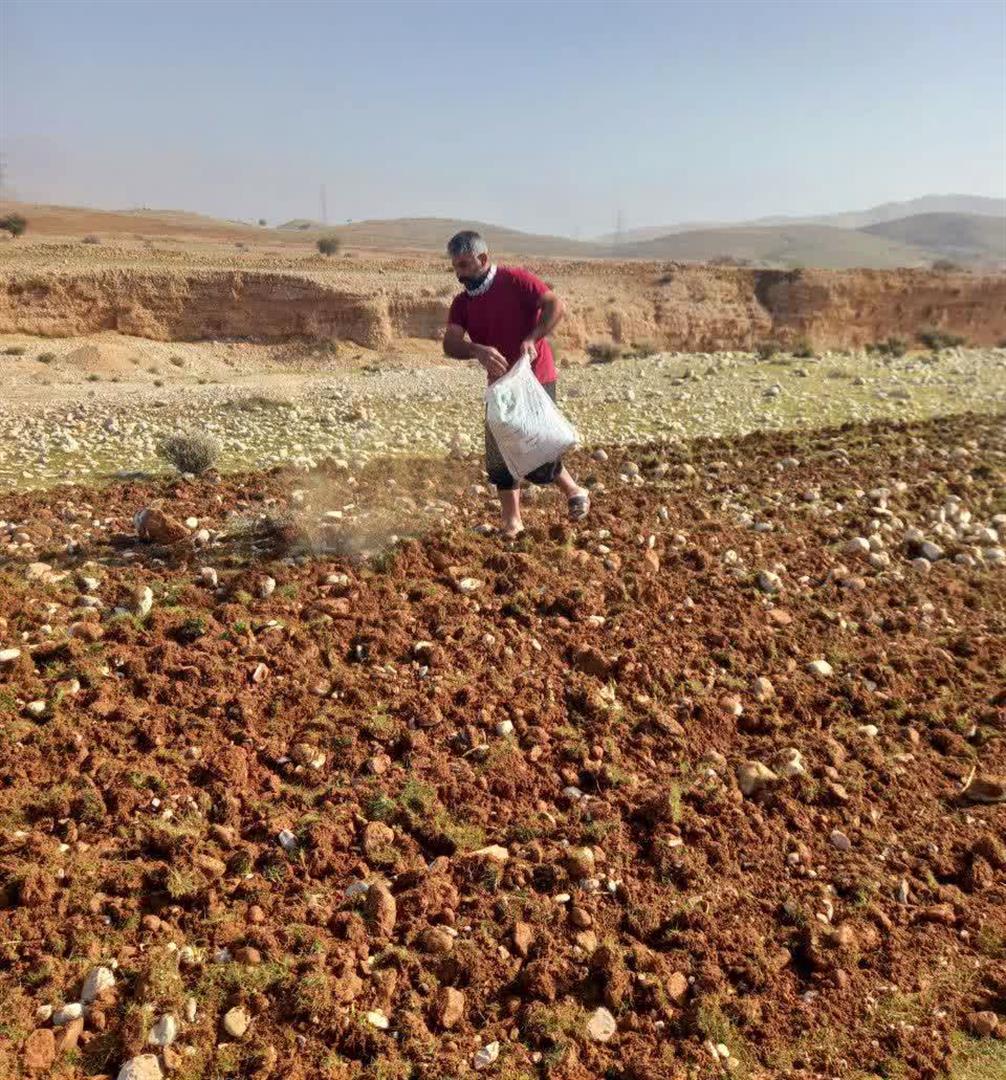 کشت گیاهان دارویی در شهرستان ایذه: 20 هکتار در طرح‌های مرتع‌داری با رویکرد مشارکتی