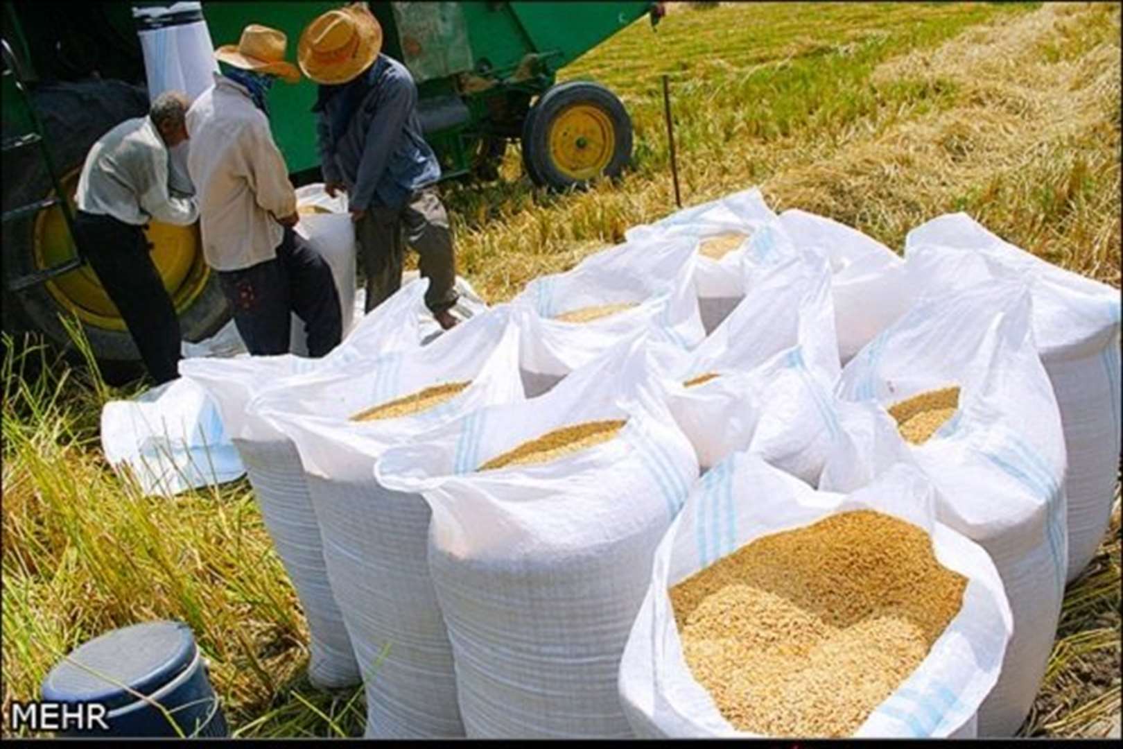 کشف 5 تن شلتوک قاچاق به ارزش 12 میلیارد ریال در ایذه