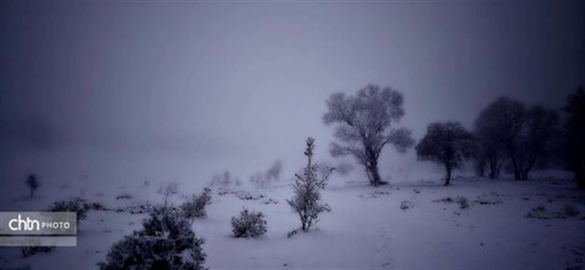 بارش برف، چهره‌ای زمستانی به منطقه گردشگری بلوط‌بلند دزپارت بخشید