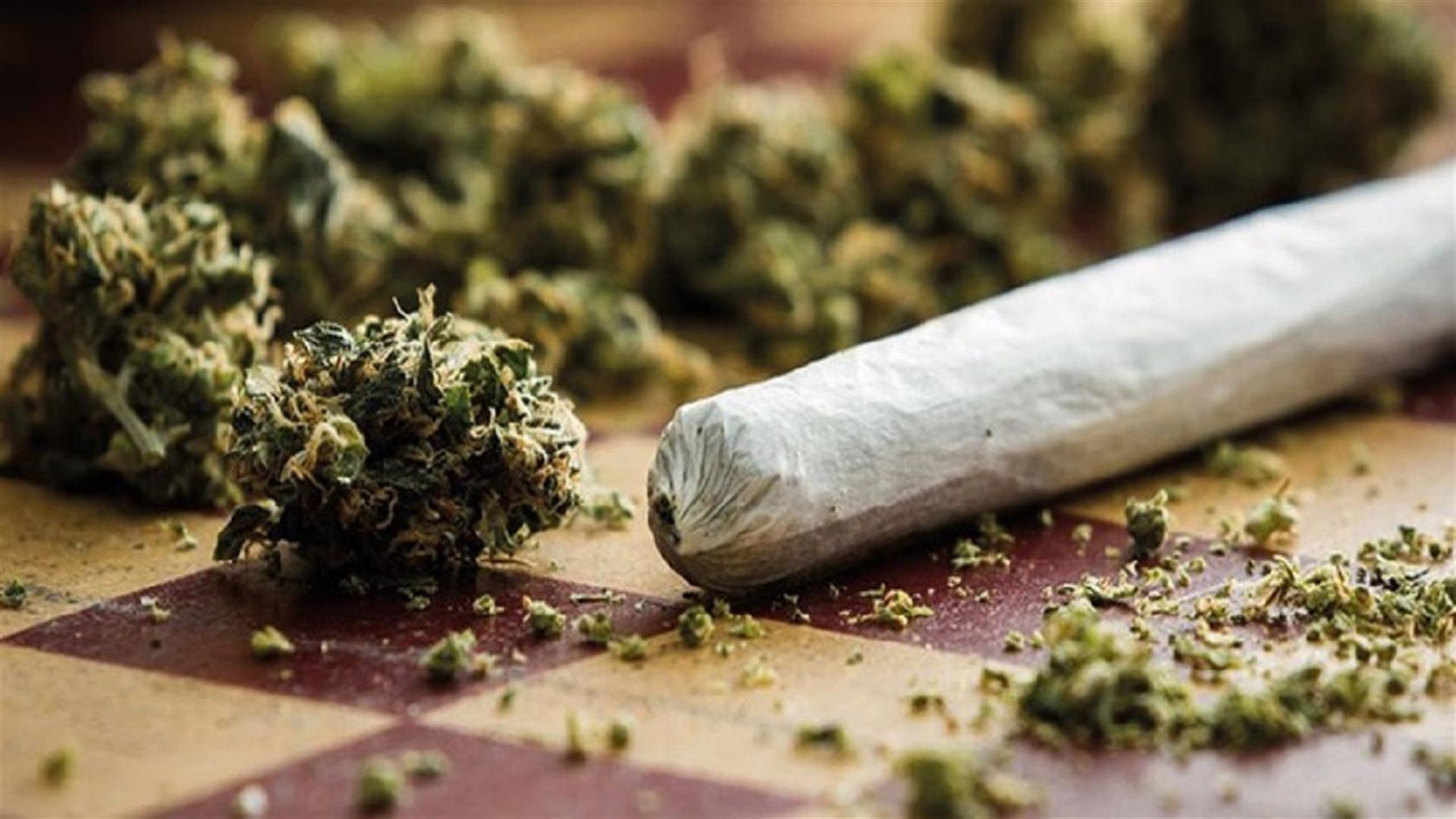 کشف ۳.۵ تن ماری‌جوانا و شهادت مأمور پلیس در ایذه