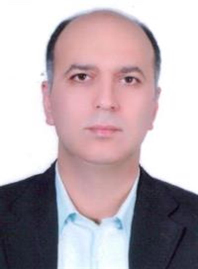نیما محمود زاده