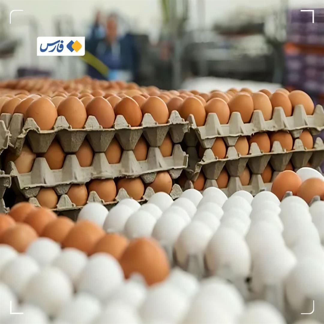اصلاح دستورالعمل خرید تضمینی؛ قیمت تخم‌مرغ بازنگری می‌شود