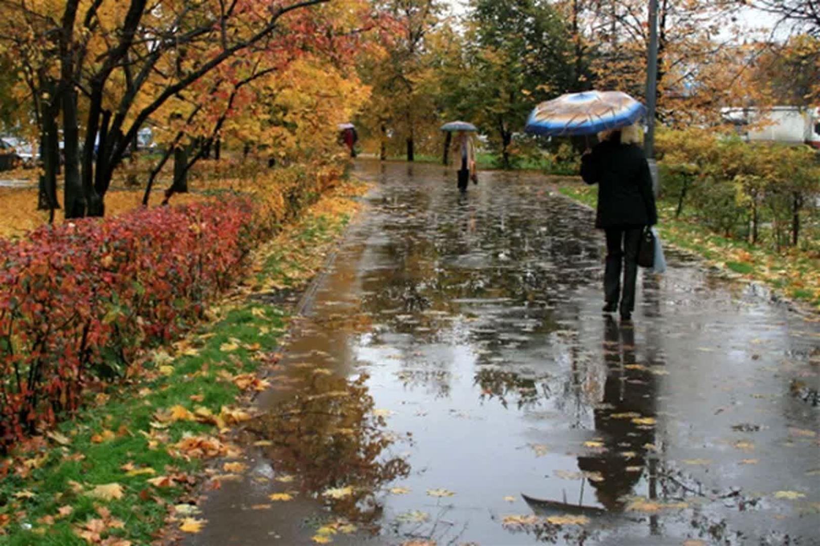 پیش‌بینی هواشناسی: تابستانی گرم‌تر از نرمال و احتمال پاییز پربارش